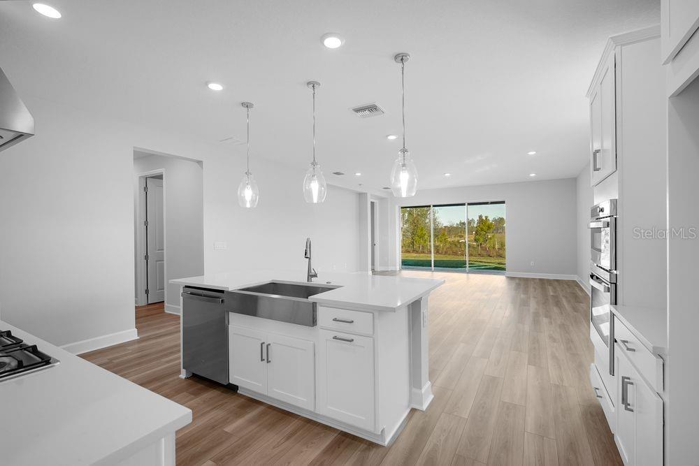 1669 ANSON LN, ZEPHYRHILLS, FL, 33541