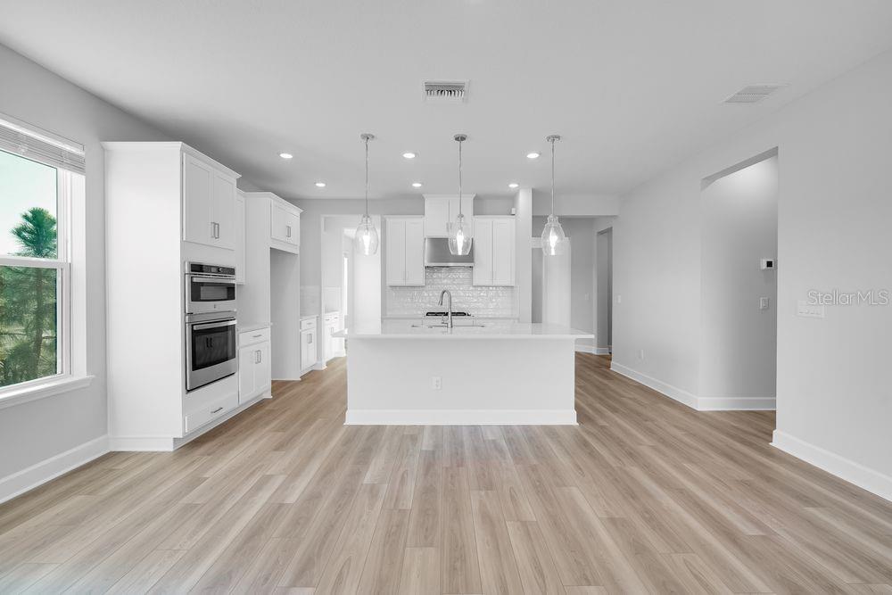 1669 ANSON LN, ZEPHYRHILLS, FL, 33541