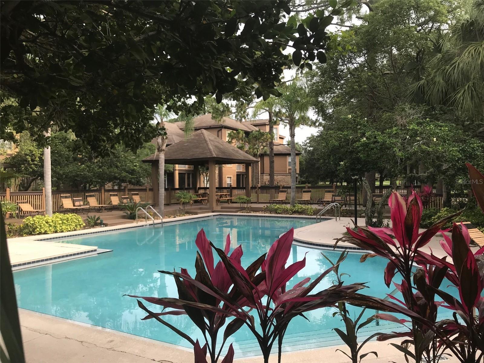 494 N PIN OAK PL #202, LONGWOOD, FL, 32779