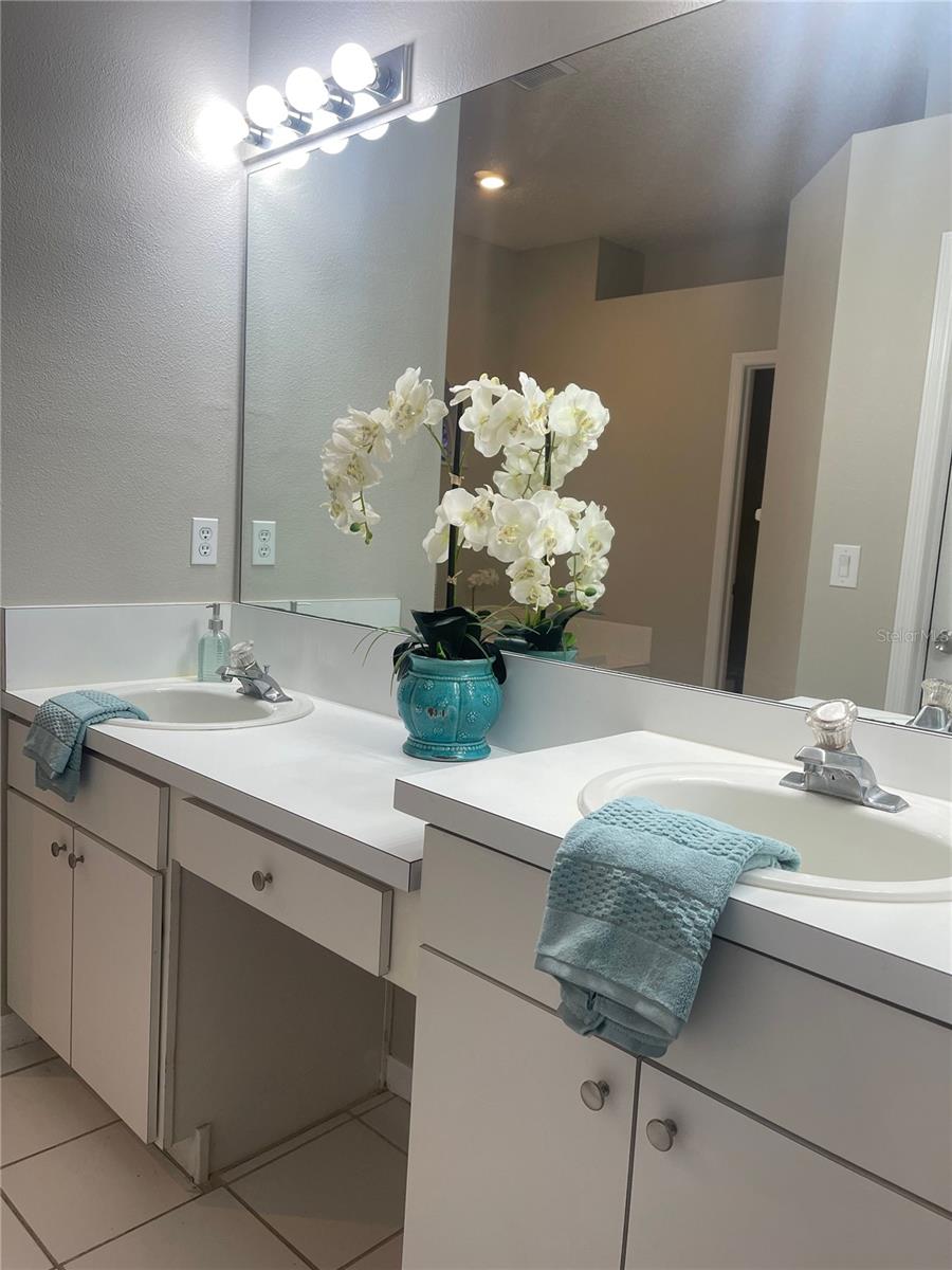 310 CRYSTAL GOBLET CT, VALRICO, FL, 33594