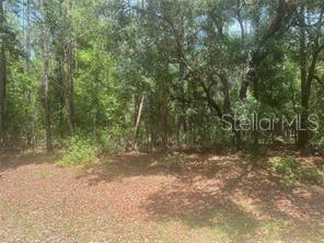 8611 N WALLINGFORD AVE, DUNNELLON, FL, 34434