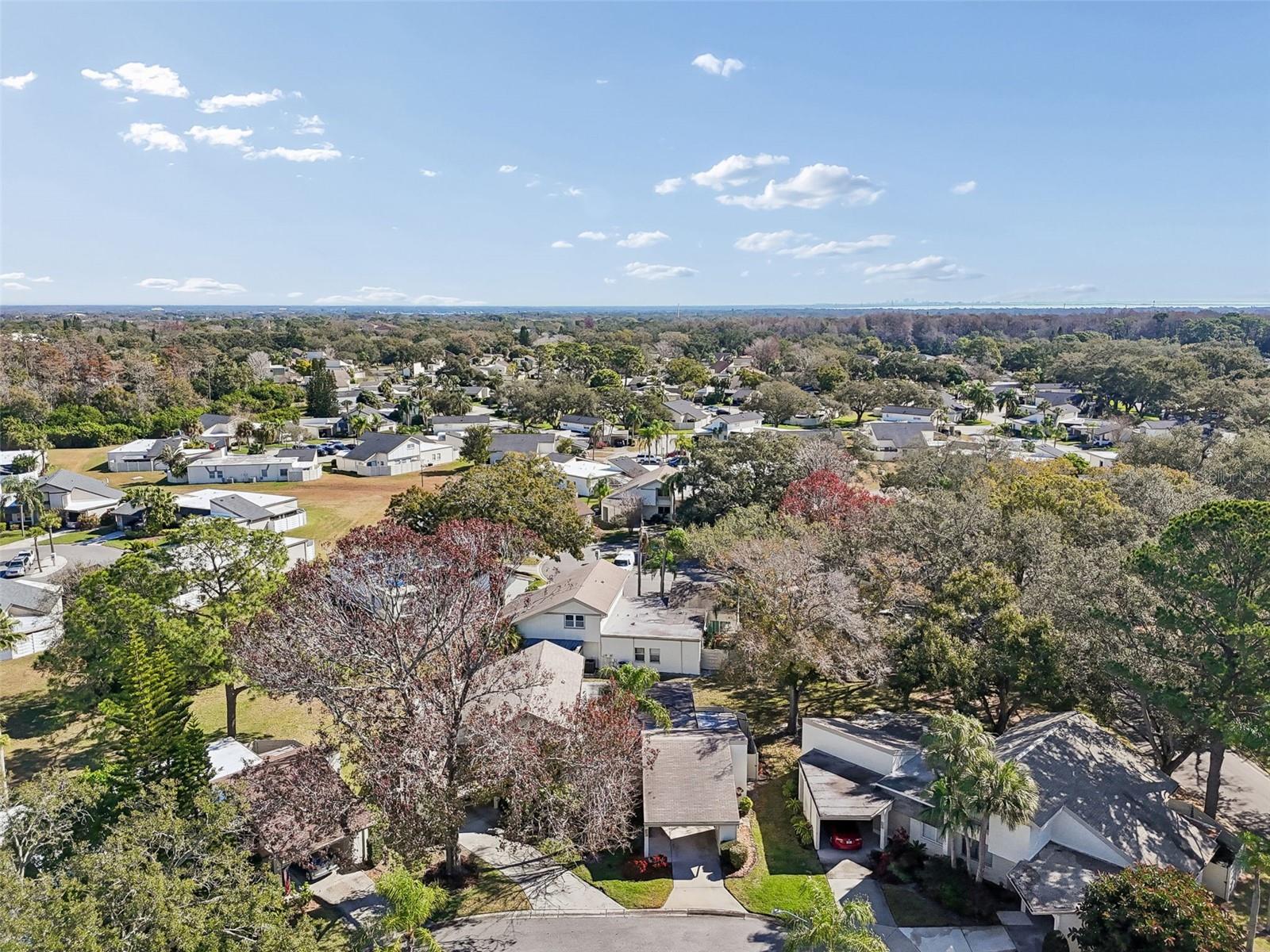 2618 CEDAR VIEW CT #95B, CLEARWATER, FL, 33761