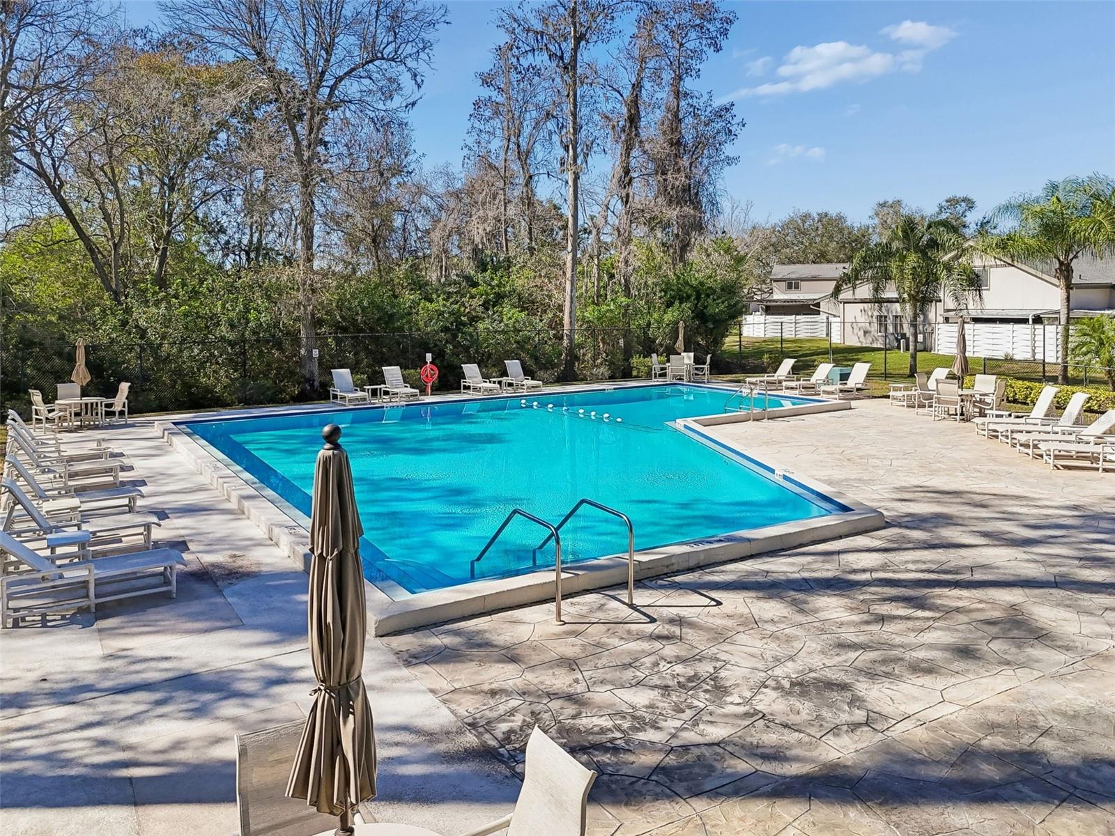 2618 CEDAR VIEW CT #95B, CLEARWATER, FL, 33761