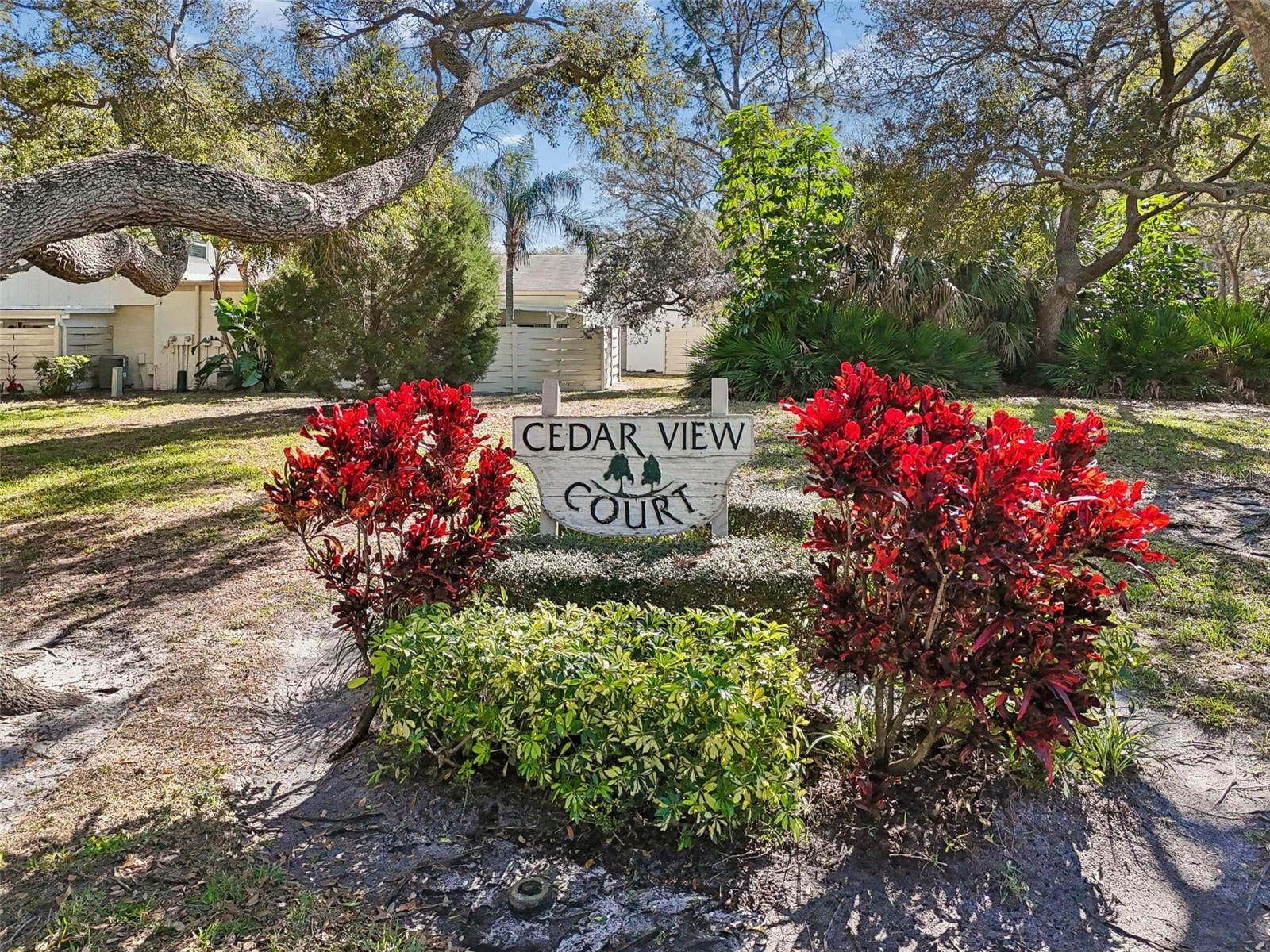 2618 CEDAR VIEW CT #95B, CLEARWATER, FL, 33761