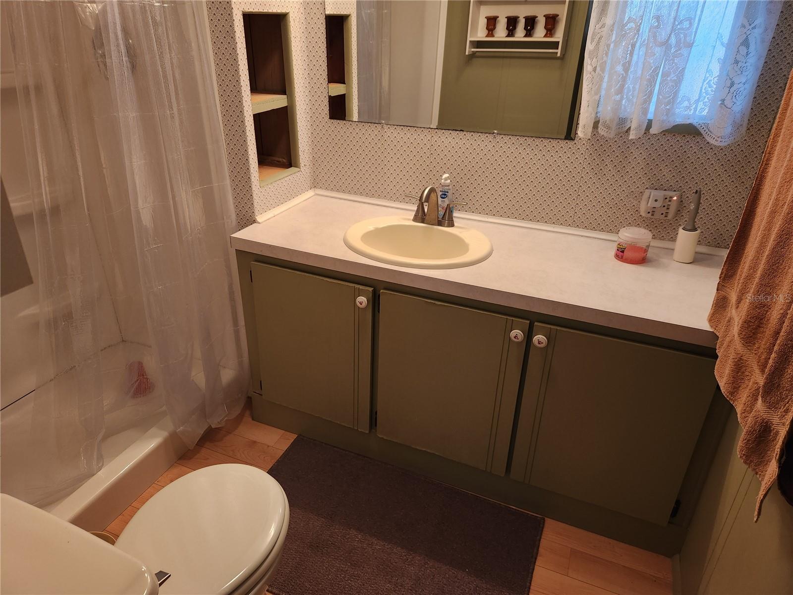 110 SHADY LN, SATSUMA, FL, 32189