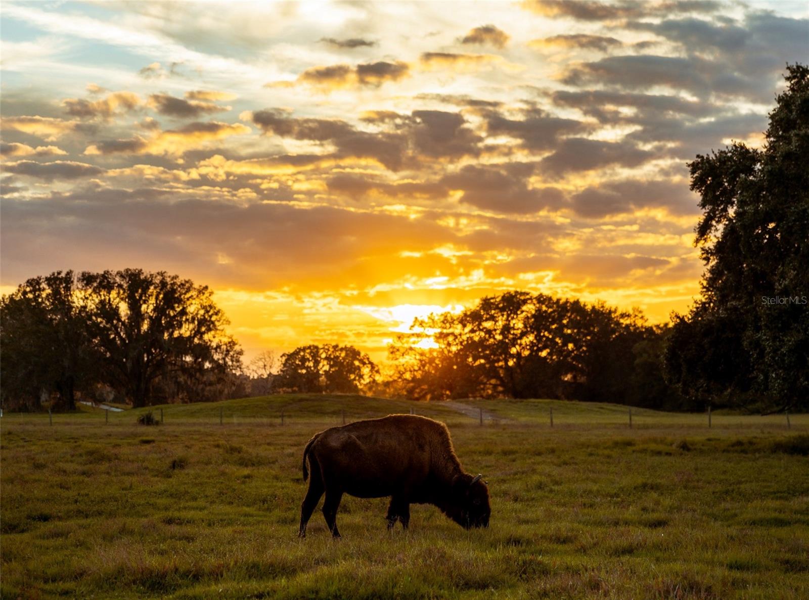 174 APPALOOSA TRL, RIVER RANCH, FL, 33867