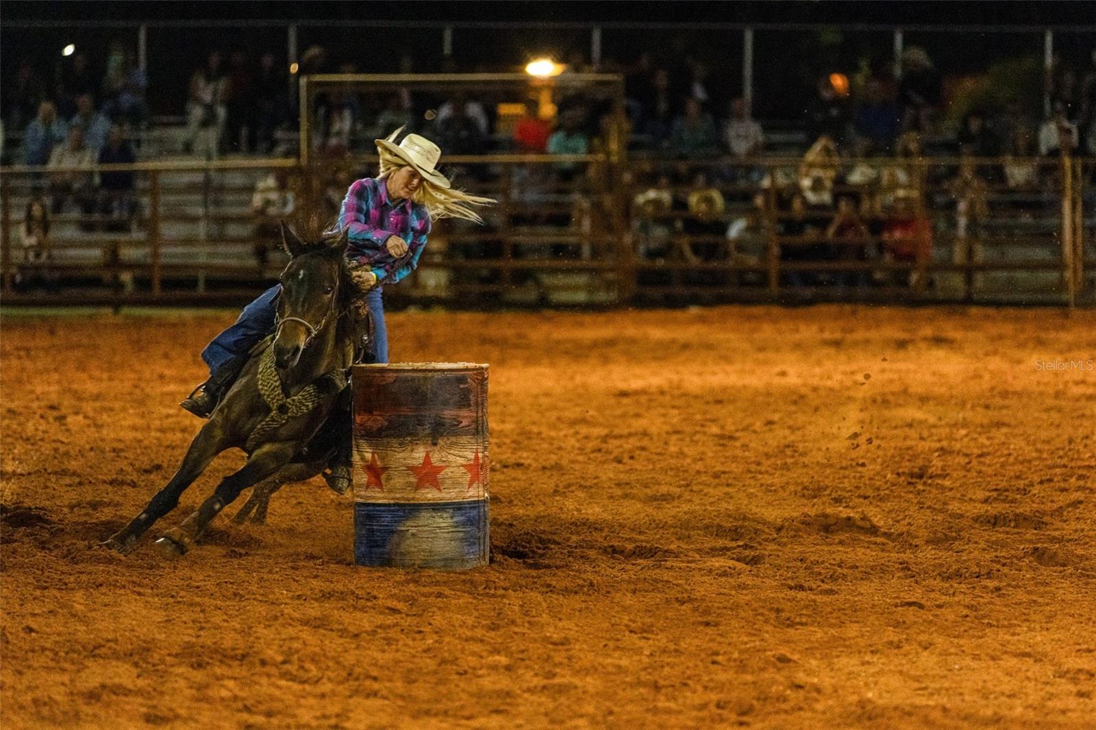 174 APPALOOSA TRL, RIVER RANCH, FL, 33867