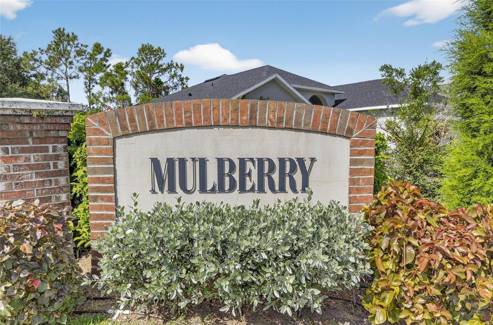 13531 MANGO BAY DR, RIVERVIEW, FL, 33579