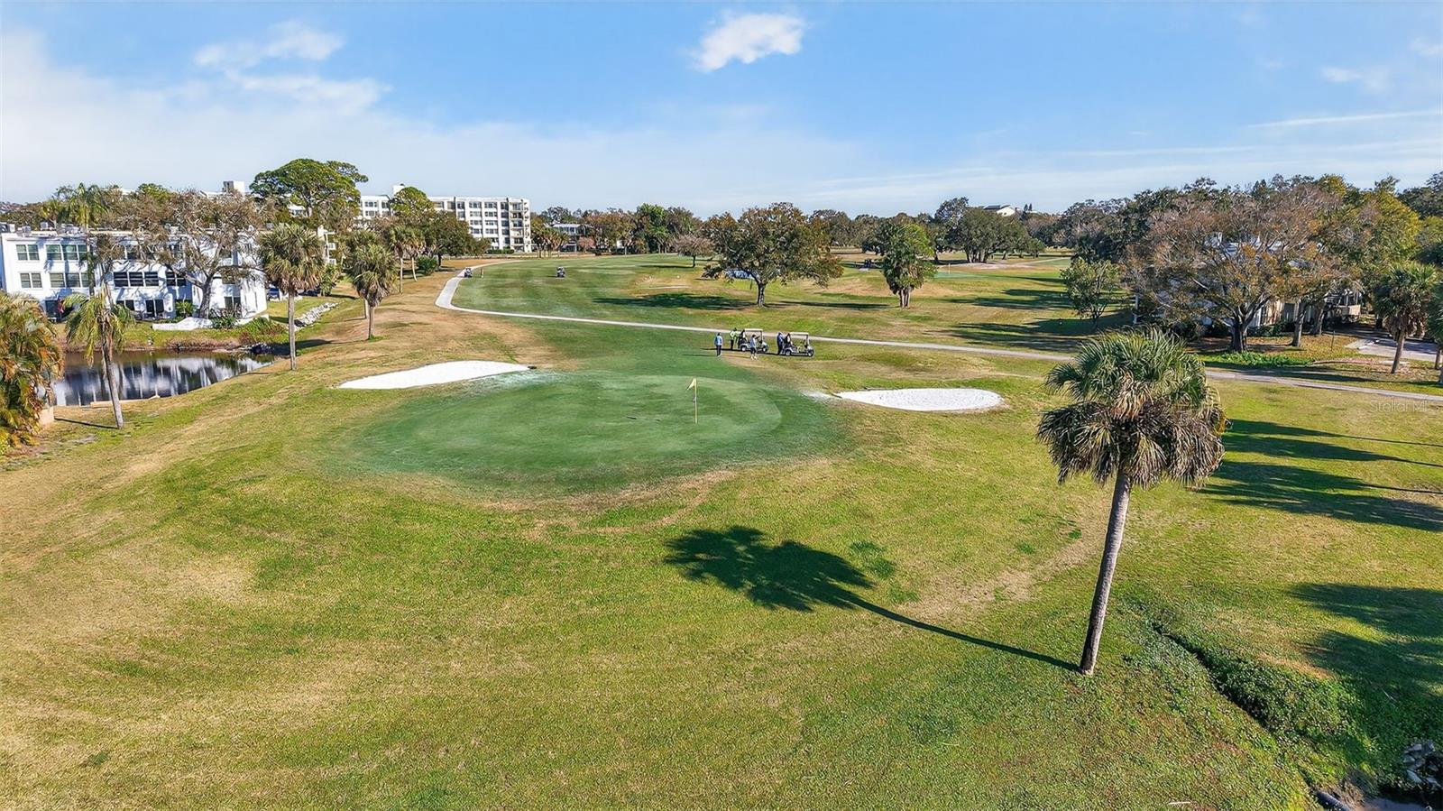 225 COUNTRY CLUB DR #D239, LARGO, FL, 33771