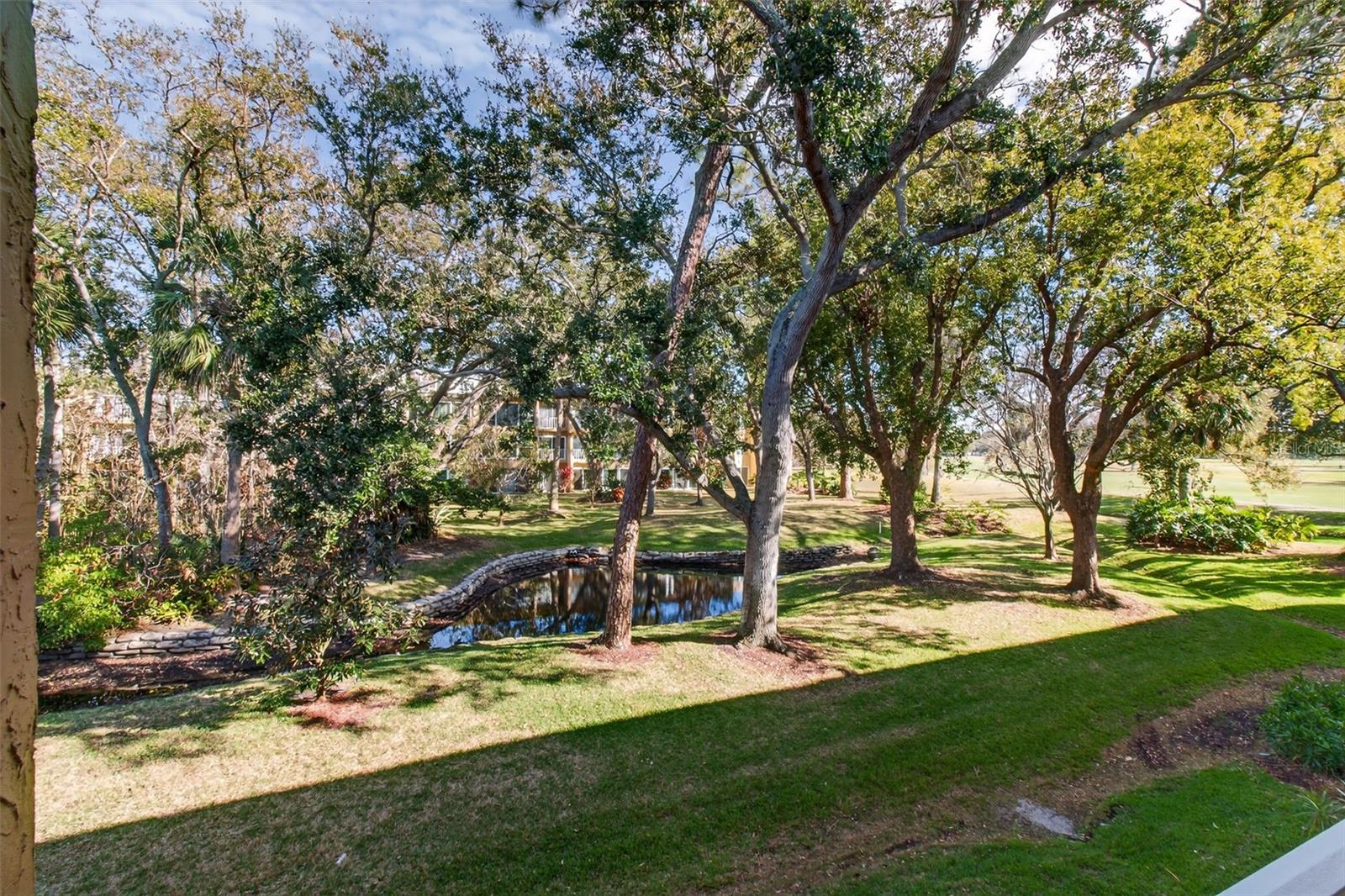 225 COUNTRY CLUB DR #D239, LARGO, FL, 33771