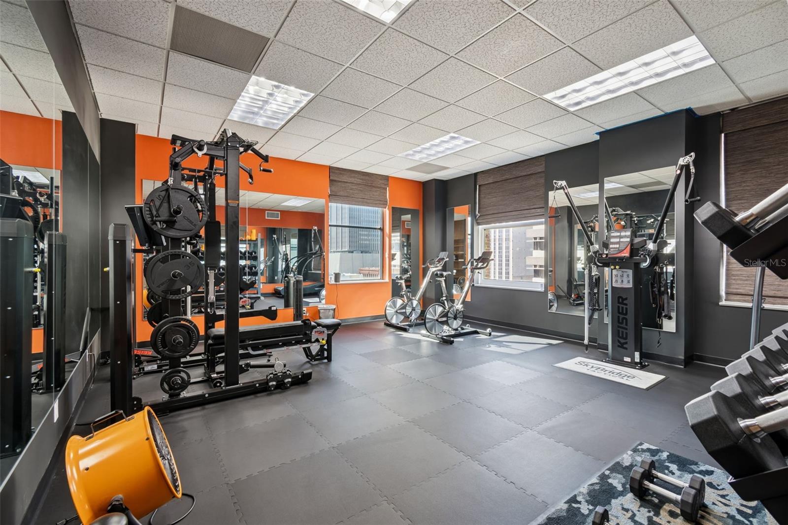 707 N FRANKLIN ST #6, TAMPA, FL, 33602