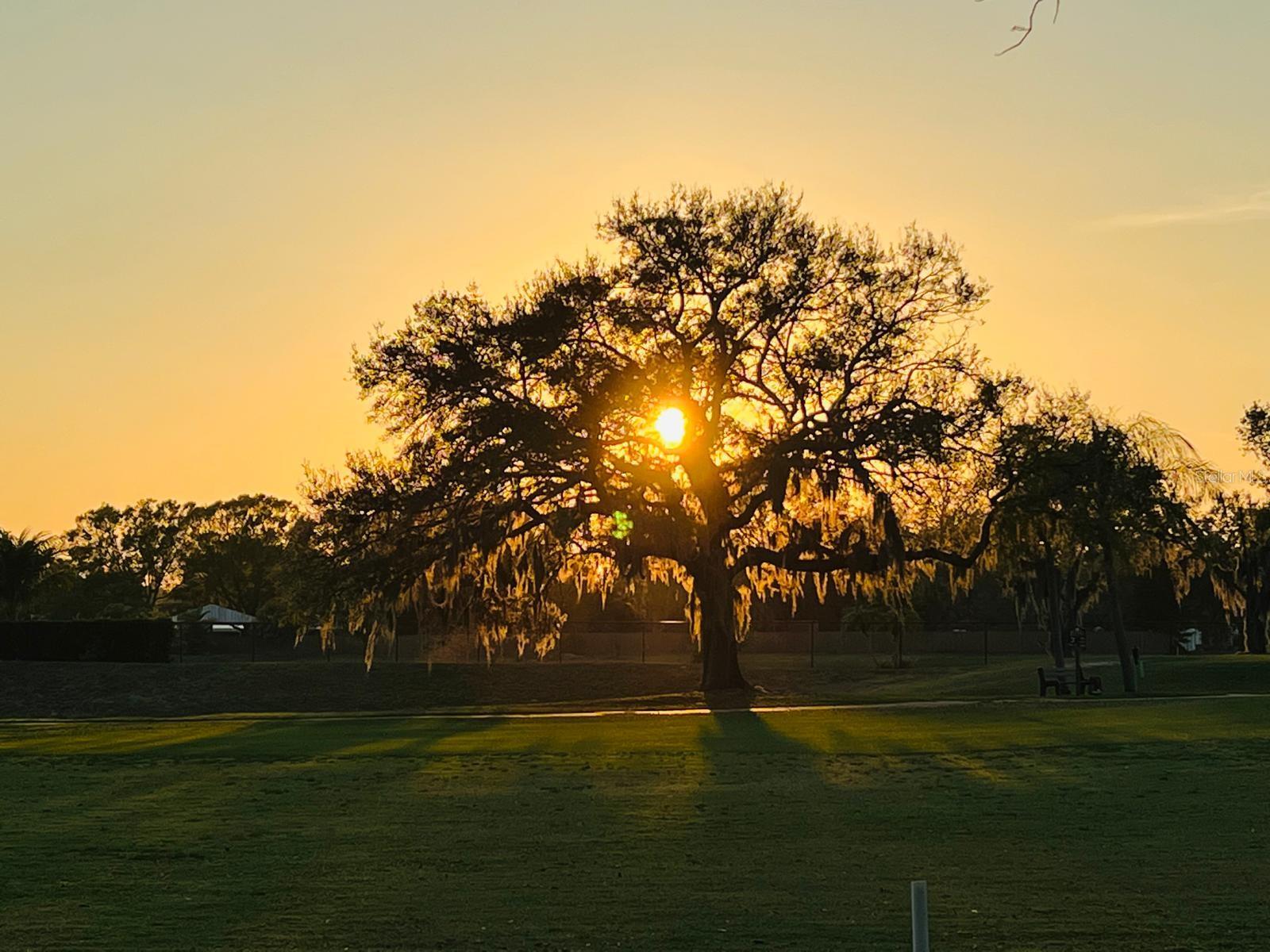 4054 CADDIE DR E, BRADENTON, FL, 34203