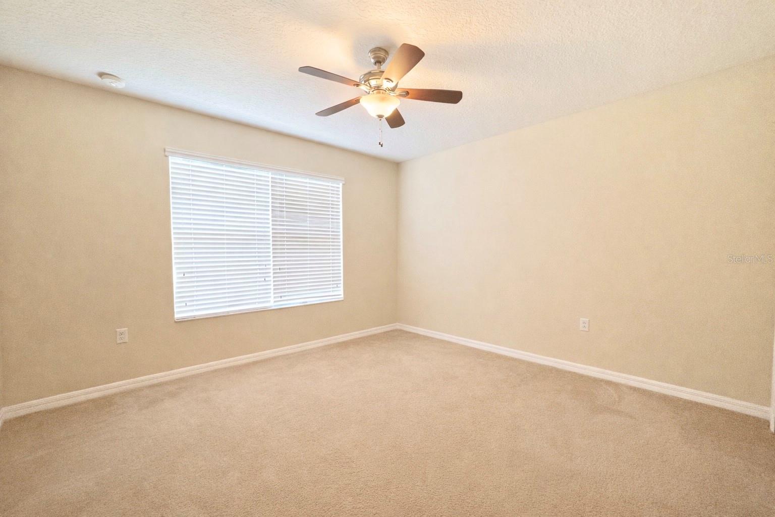 4410 PINE GOLD AVE, APOPKA, FL, 32712