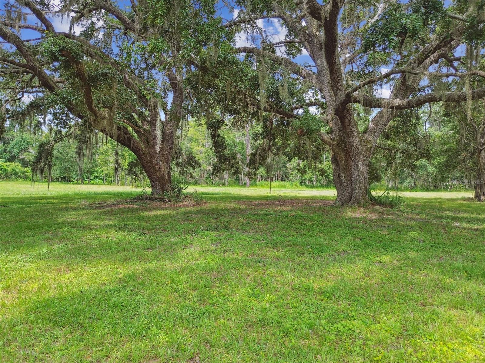 13711 LUSSIER LN, SPRING HILL, FL, 34610