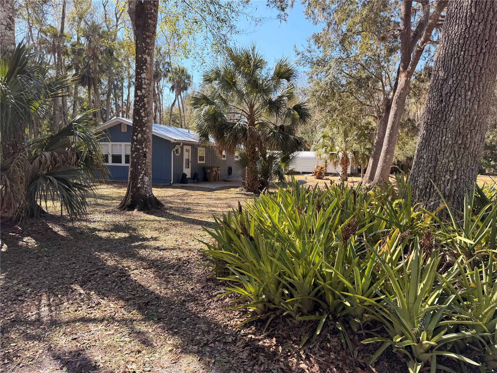 53706 RIVERTRACE RD, ASTOR, FL, 32102