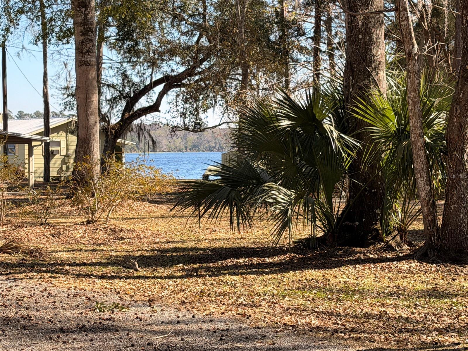 53706 RIVERTRACE RD, ASTOR, FL, 32102