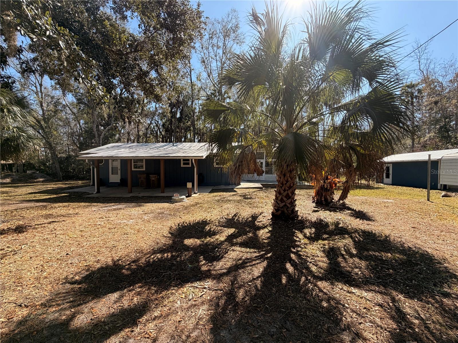 53706 RIVERTRACE RD, ASTOR, FL, 32102