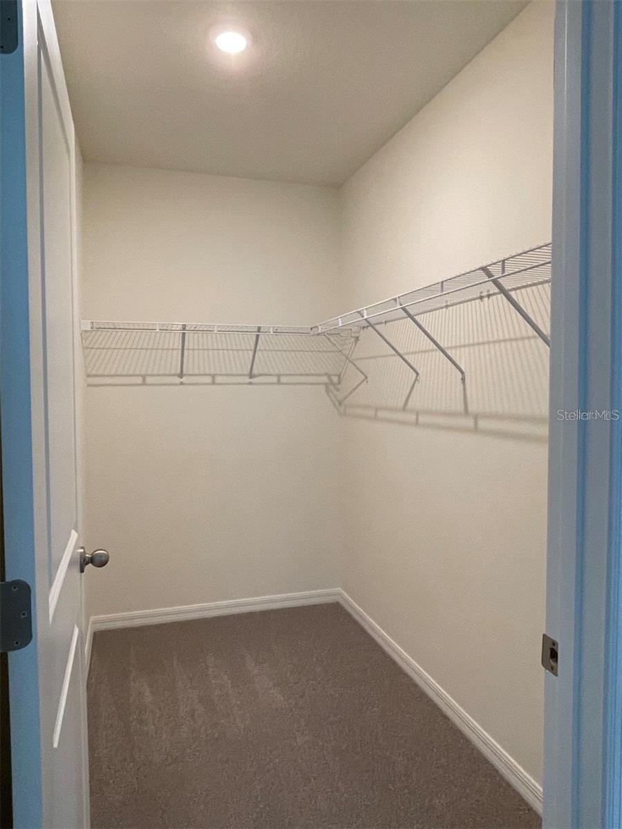 5526 OXFORD GRAY RD, WESLEY CHAPEL, FL, 33545