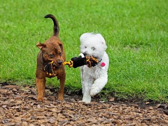 8662 OAKSTONE CIR, LEESBURG, FL, 34788