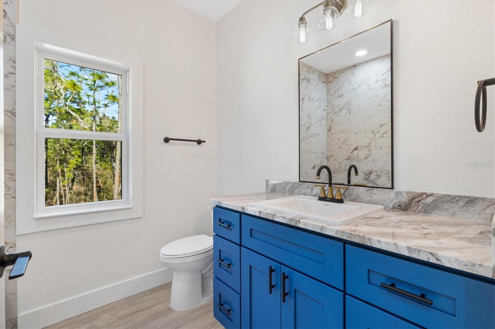 8506 COUNTY ROAD 243, WILDWOOD, FL, 34785