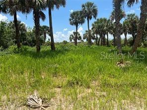 3026 SAGE AVE SW, PALM BAY, FL, 32908