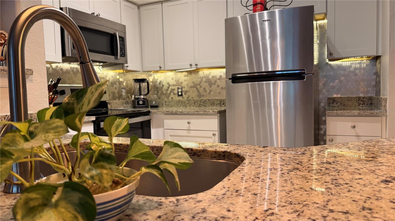 3250 CORONA VILLAGE WAY #204, ORLANDO, FL, 32835