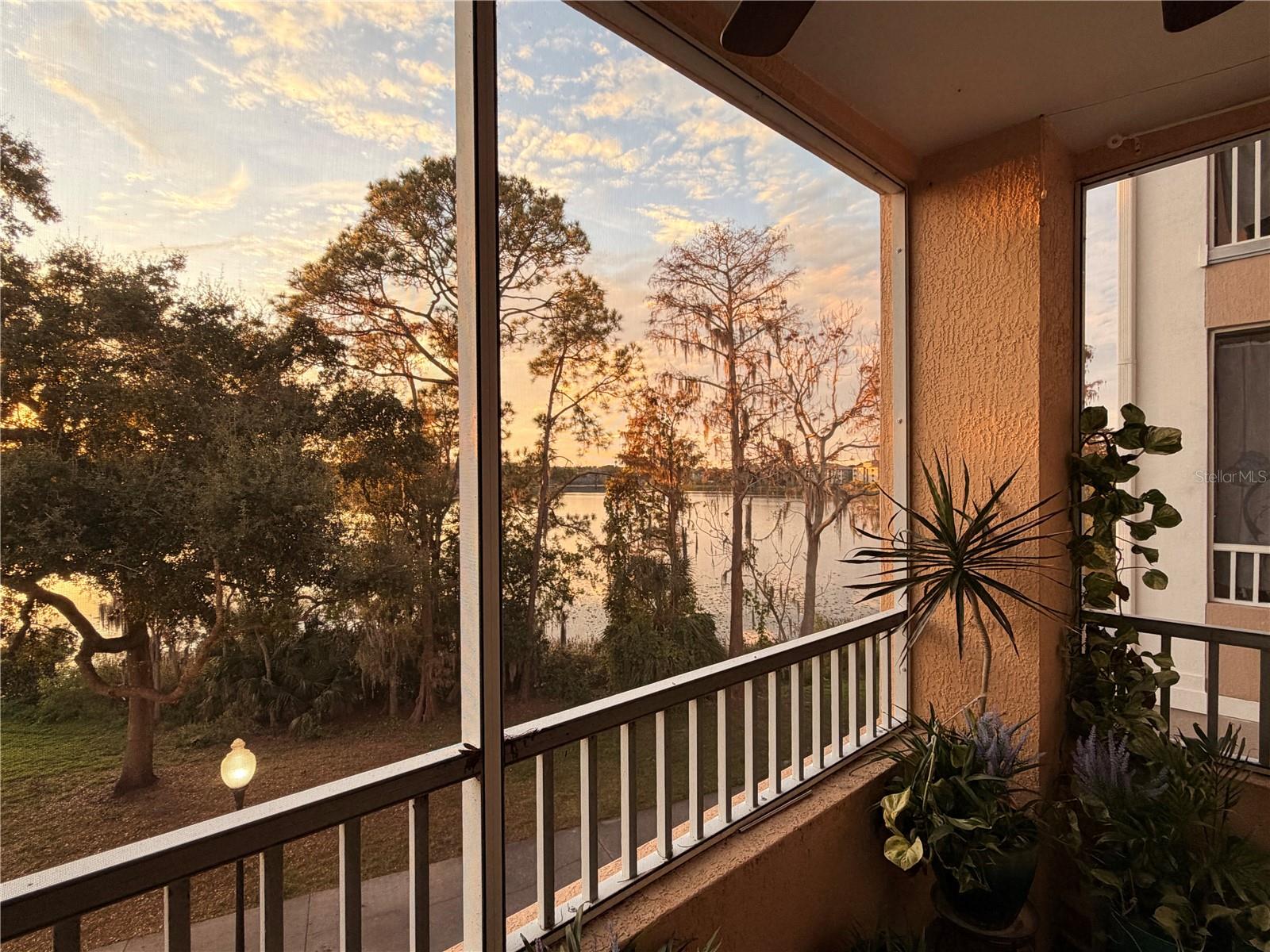 3250 CORONA VILLAGE WAY #204, ORLANDO, FL, 32835