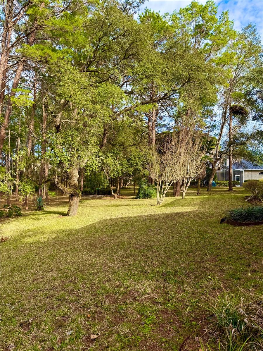 9448 TOOKE SHORE DR, WEEKI WACHEE, FL, 34613