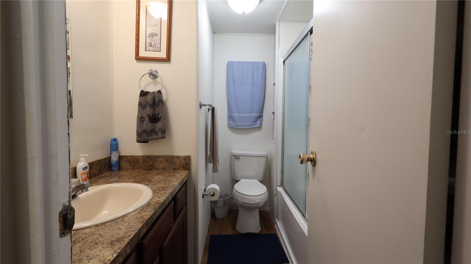 1158 CR 439, LAKE PANASOFFKEE, FL, 33538