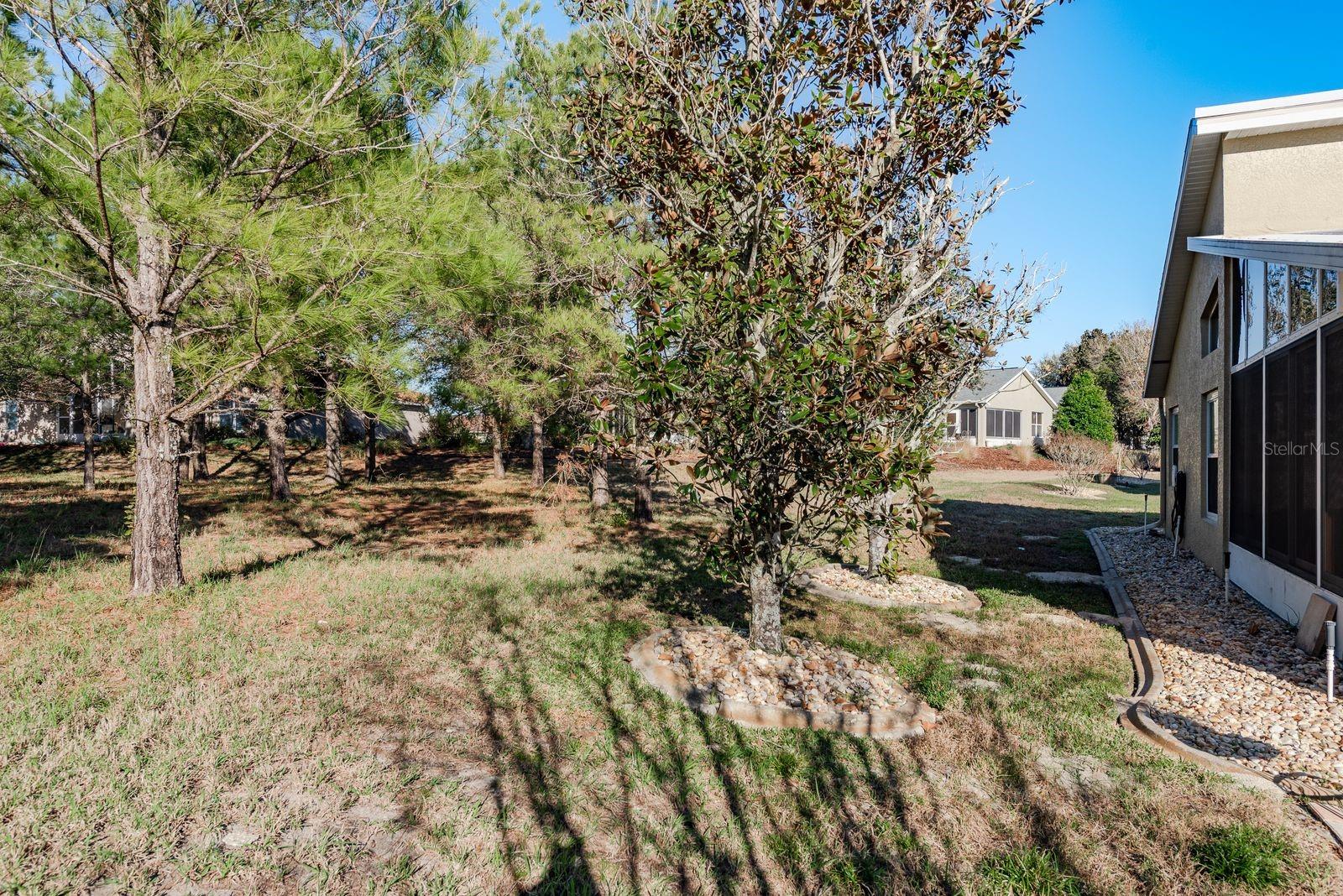 11457 MCLEOD ST, SPRING HILL, FL, 34609