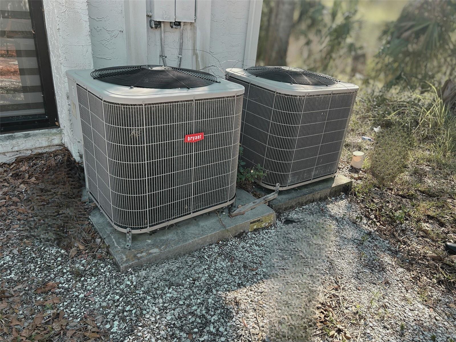 13302 WINDING OAK CT, TAMPA, FL, 33612