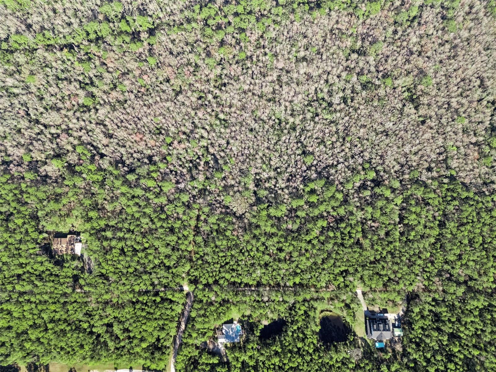 3441 HICKORY CREEK RD, DELTONA, FL, 32738