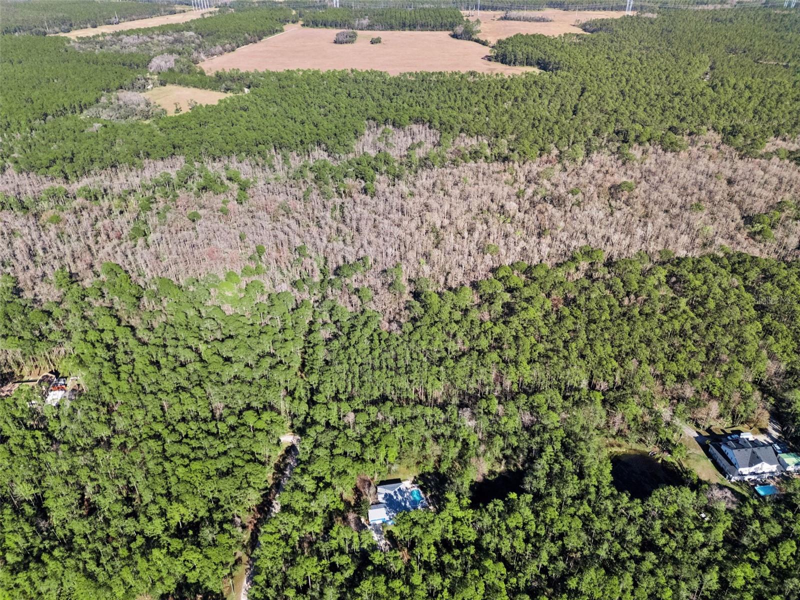 3441 HICKORY CREEK RD, DELTONA, FL, 32738