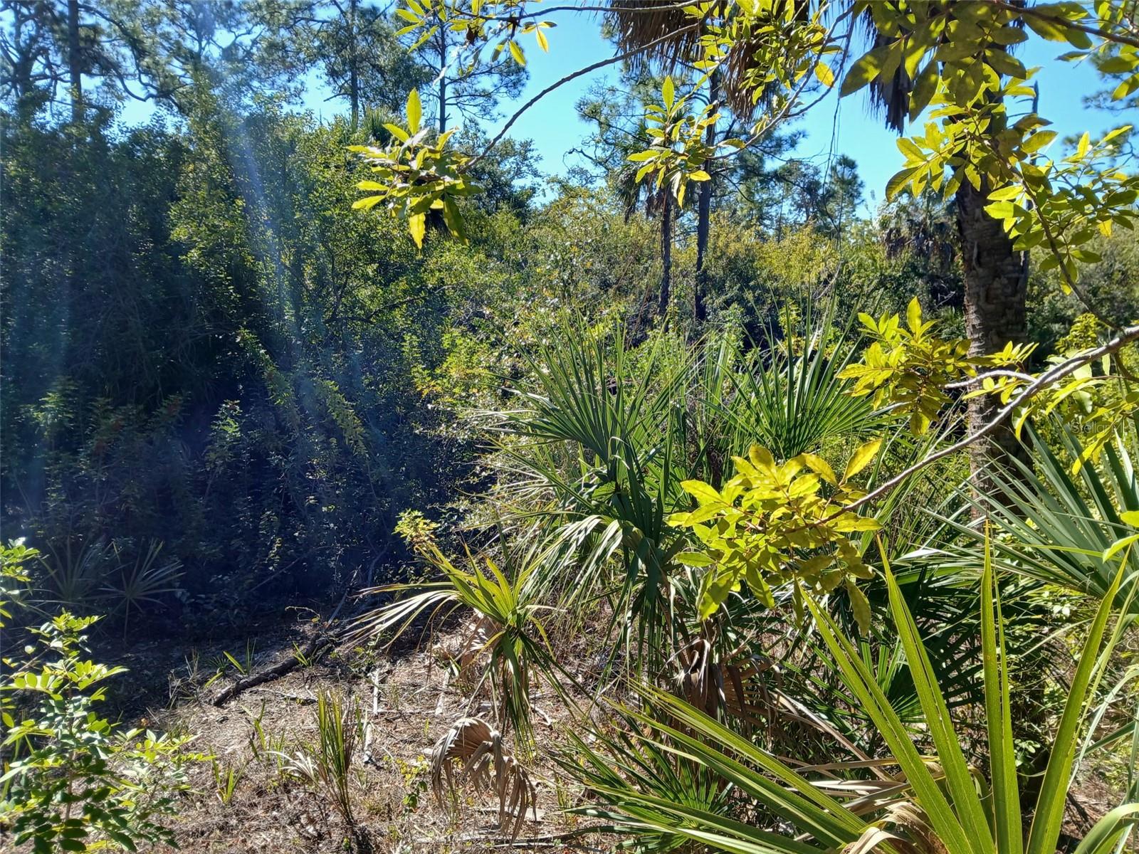 13493 MARKHAM AVE, PORT CHARLOTTE, FL, 33953