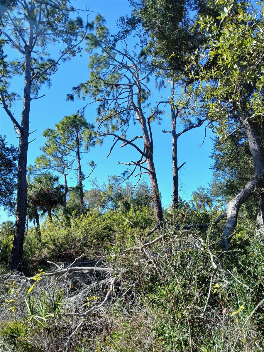 13493 MARKHAM AVE, PORT CHARLOTTE, FL, 33953