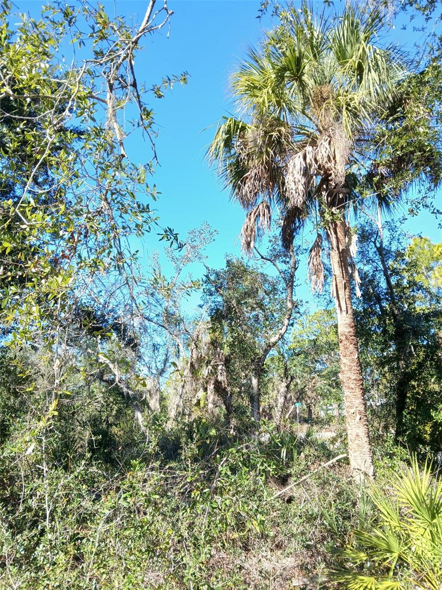 13493 MARKHAM AVE, PORT CHARLOTTE, FL, 33953