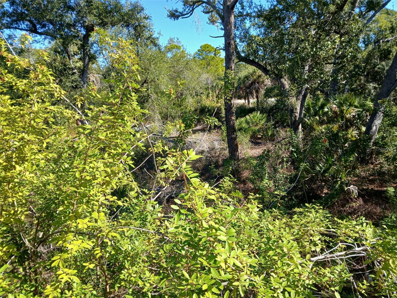 13493 MARKHAM AVE, PORT CHARLOTTE, FL, 33953