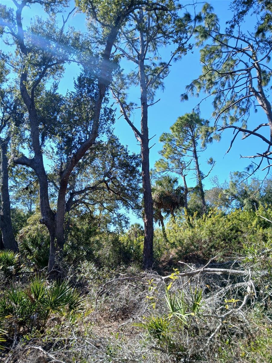 13493 MARKHAM AVE, PORT CHARLOTTE, FL, 33953