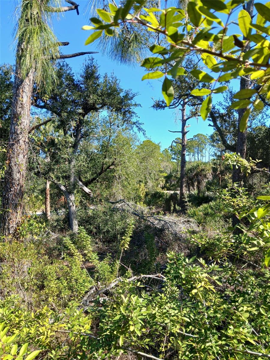 13493 MARKHAM AVE, PORT CHARLOTTE, FL, 33953