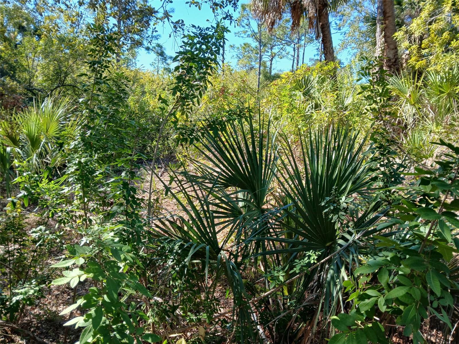 13493 MARKHAM AVE, PORT CHARLOTTE, FL, 33953