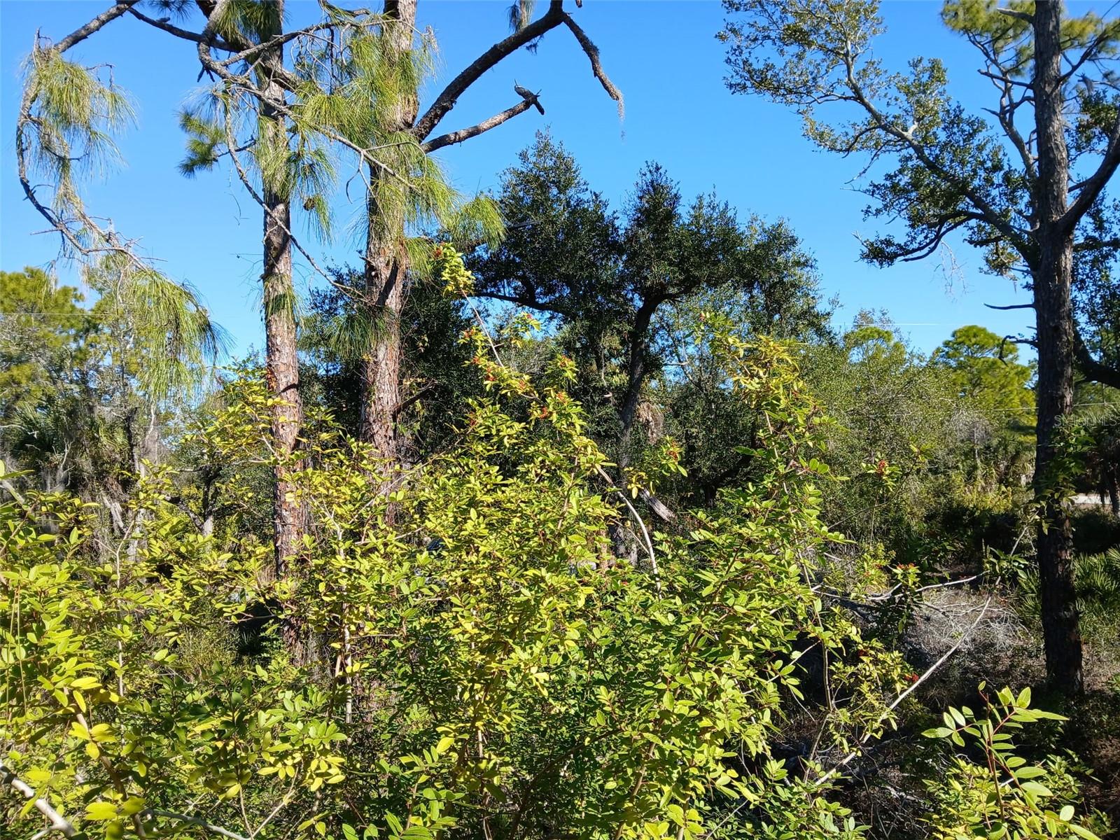 13493 MARKHAM AVE, PORT CHARLOTTE, FL, 33953