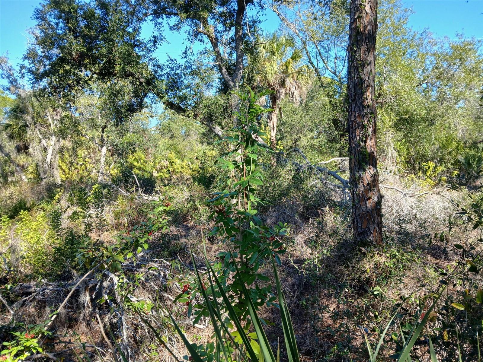 13493 MARKHAM AVE, PORT CHARLOTTE, FL, 33953