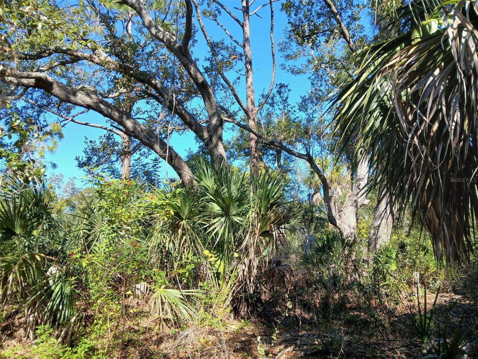 13493 MARKHAM AVE, PORT CHARLOTTE, FL, 33953