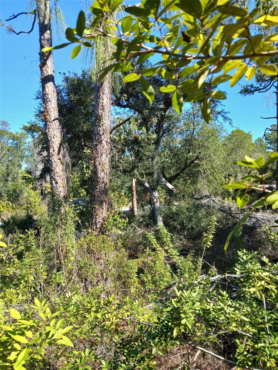 13493 MARKHAM AVE, PORT CHARLOTTE, FL, 33953