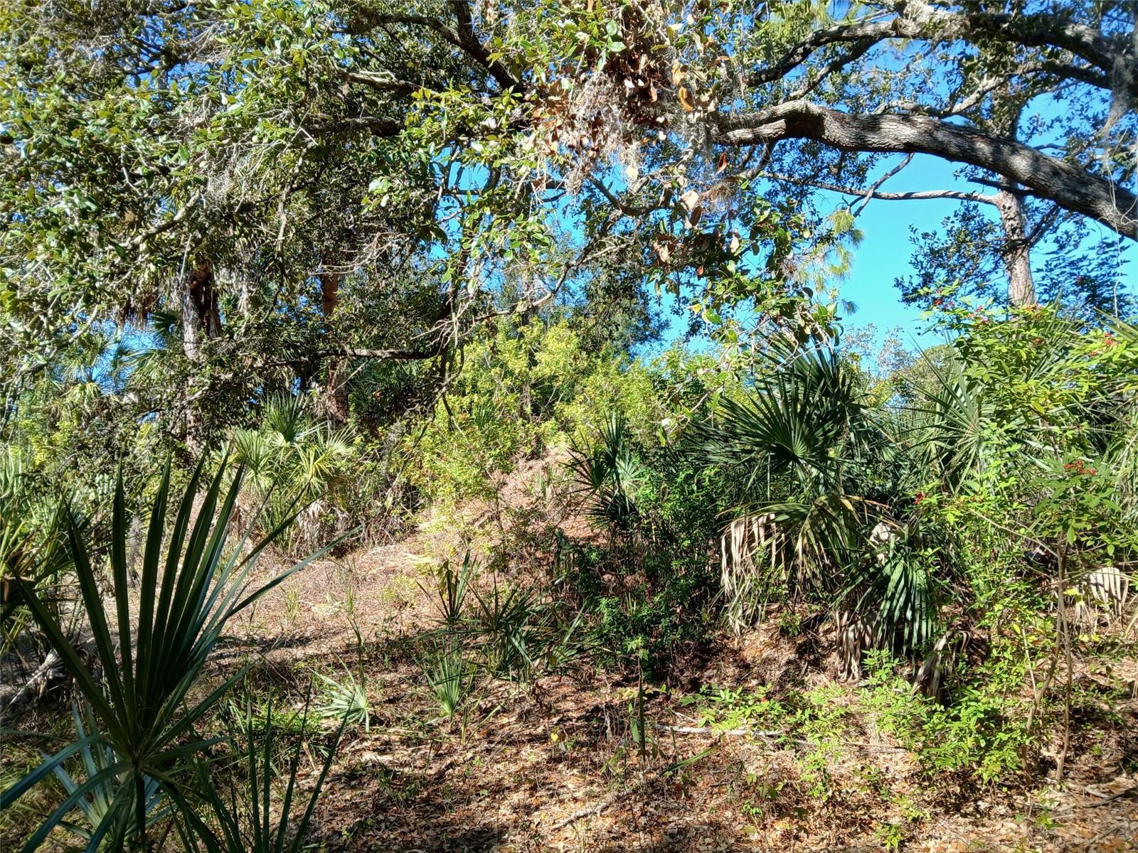 13493 MARKHAM AVE, PORT CHARLOTTE, FL, 33953