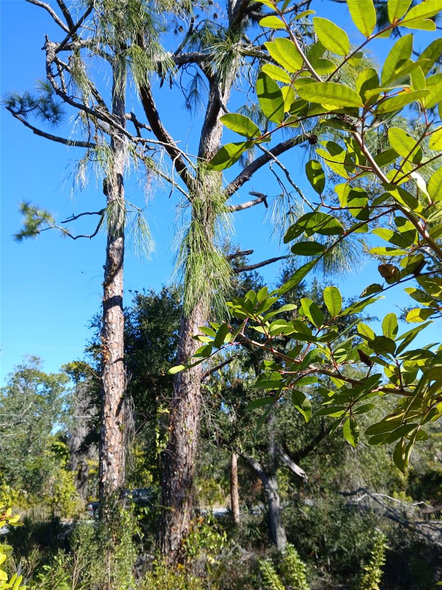 13493 MARKHAM AVE, PORT CHARLOTTE, FL, 33953