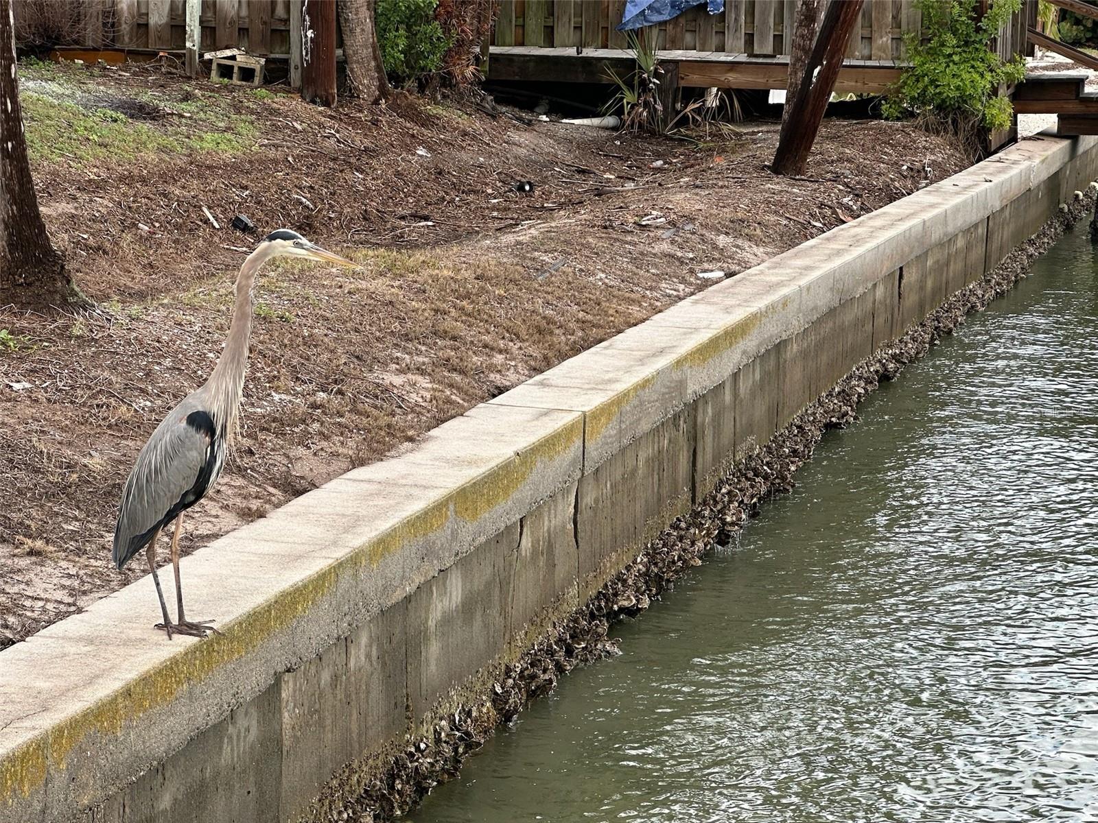 175 55TH AVE #109, ST PETE BEACH, FL, 33706