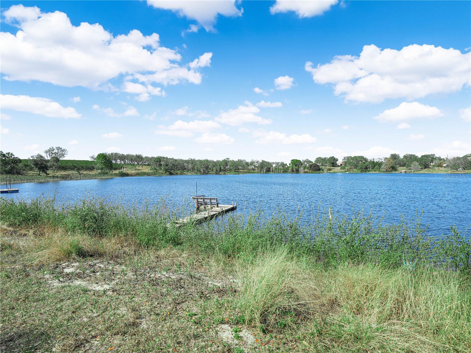 1100 GOLDEN BOUGH RD, LAKE WALES, FL, 33898