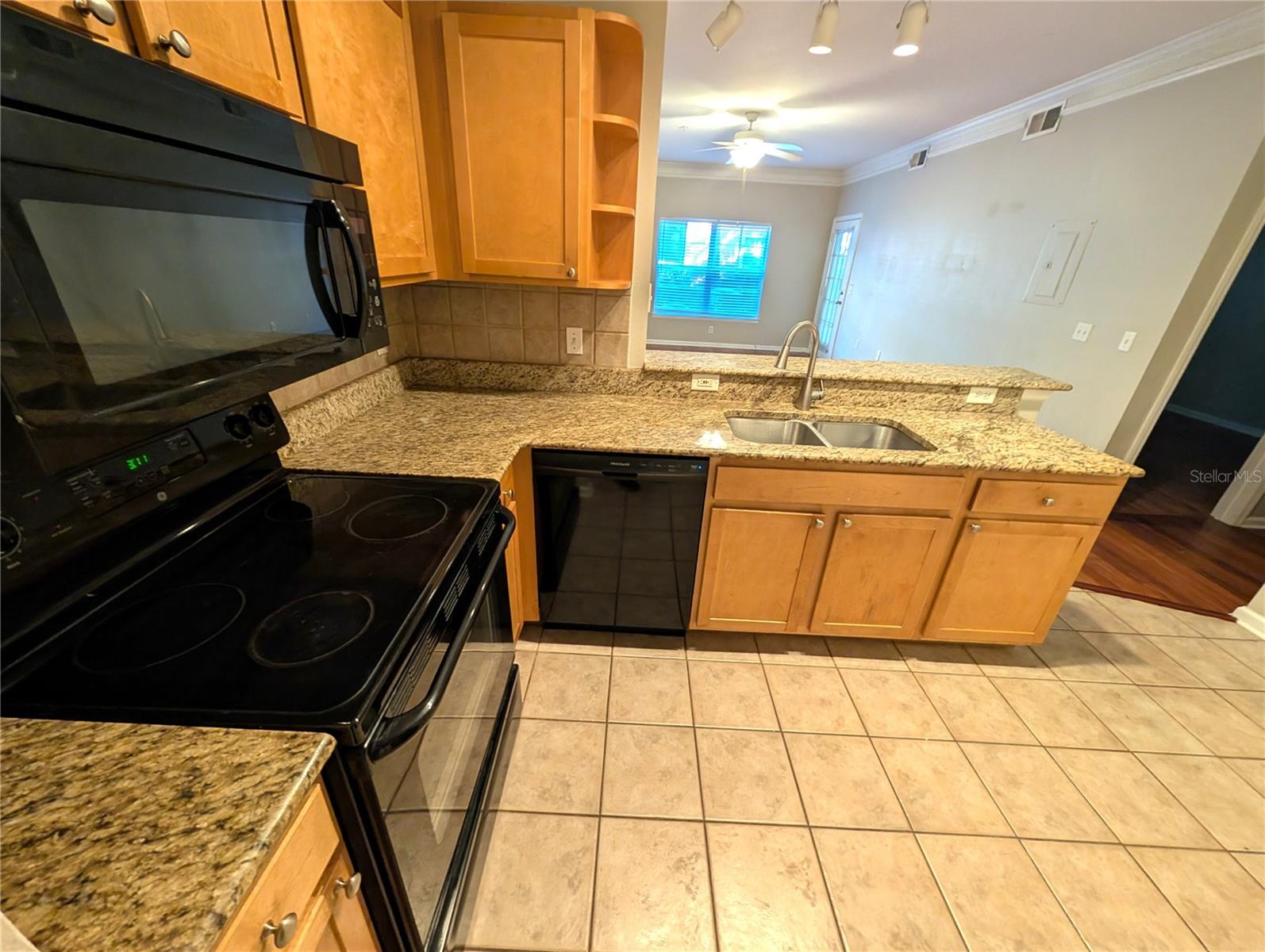 4207 S DALE MABRY HWY #6110, TAMPA, FL, 33611