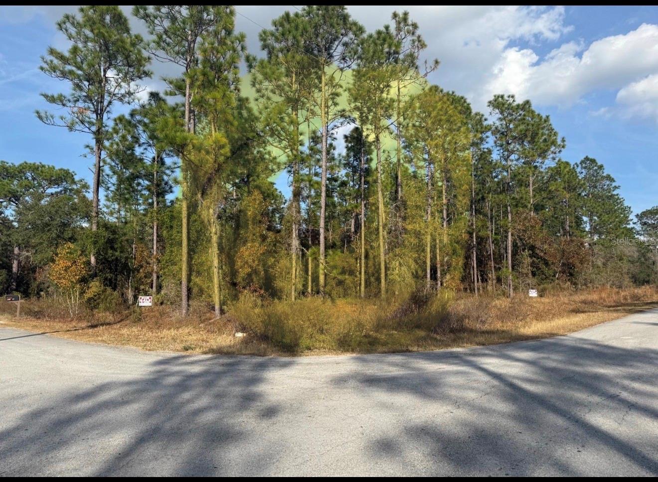 0 SUNSET AVE NW, DUNNELLON, FL, 34431